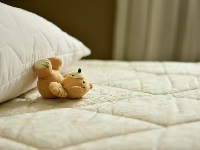 Oura ou WHOOP : choisir l’appareil pour analyser le sommeil