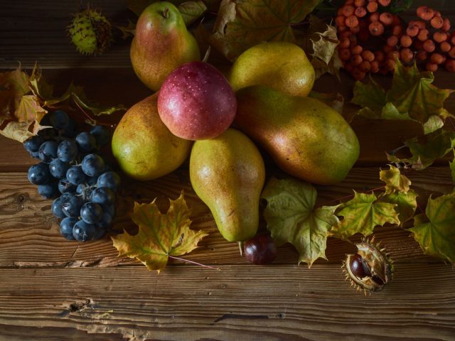 Dès le début de l&rsquo;automne, adaptez votre alimentation pour plus de bien-être