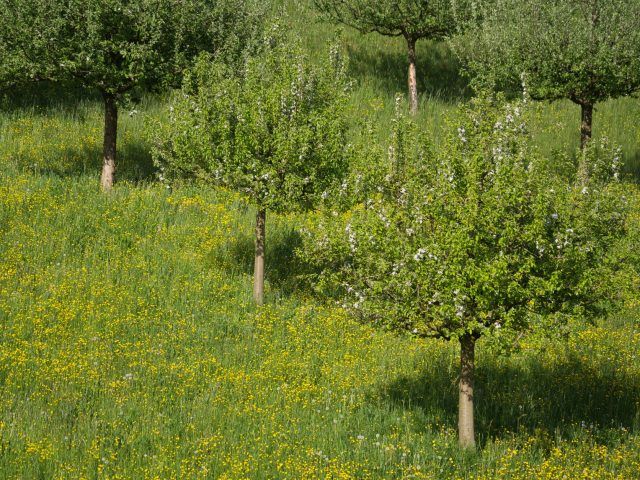 Comment se protéger des allergies saisonnières ?
