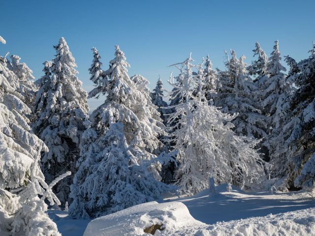 Gérer le stress et l&rsquo;anxiété durant les mois d&rsquo;hiver