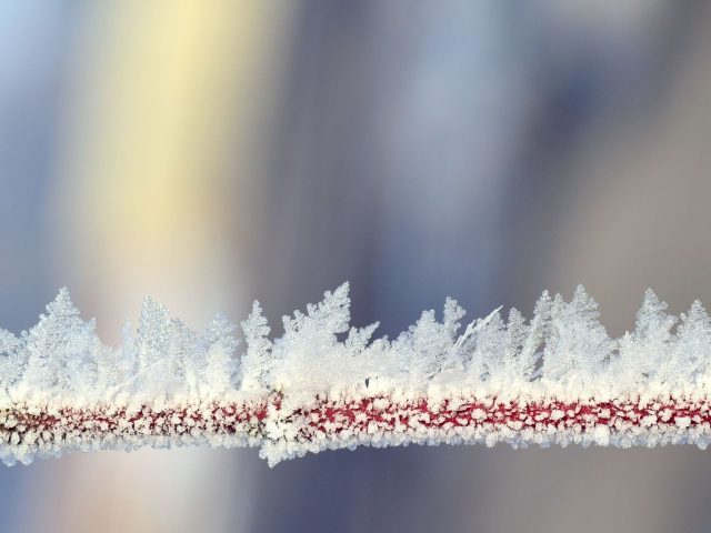 Se Ressourcer Naturellement en Hiver