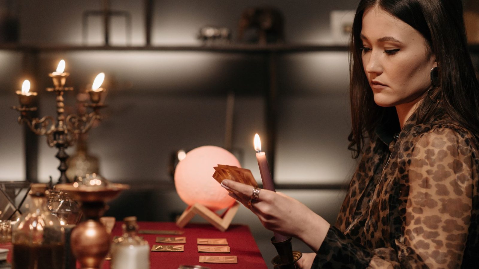 Championnat de Tarot à Nevers : l’enjeu caché derrière le jeu