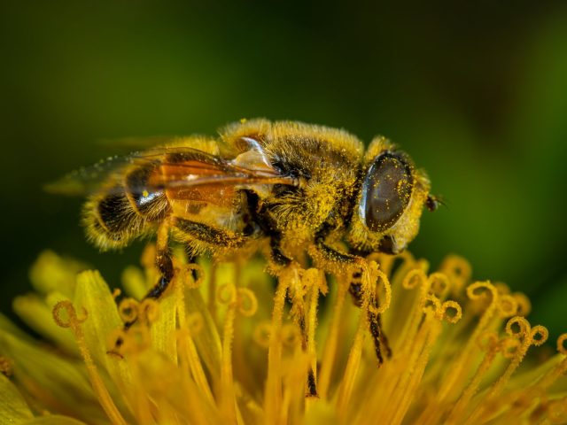Comment se protéger efficacement des allergies saisonnières ?