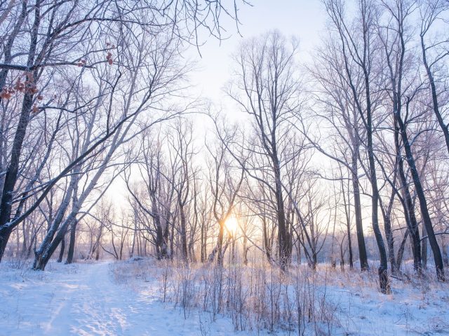 Gérer l&rsquo;anxiété en hiver : pratiques et conseils
