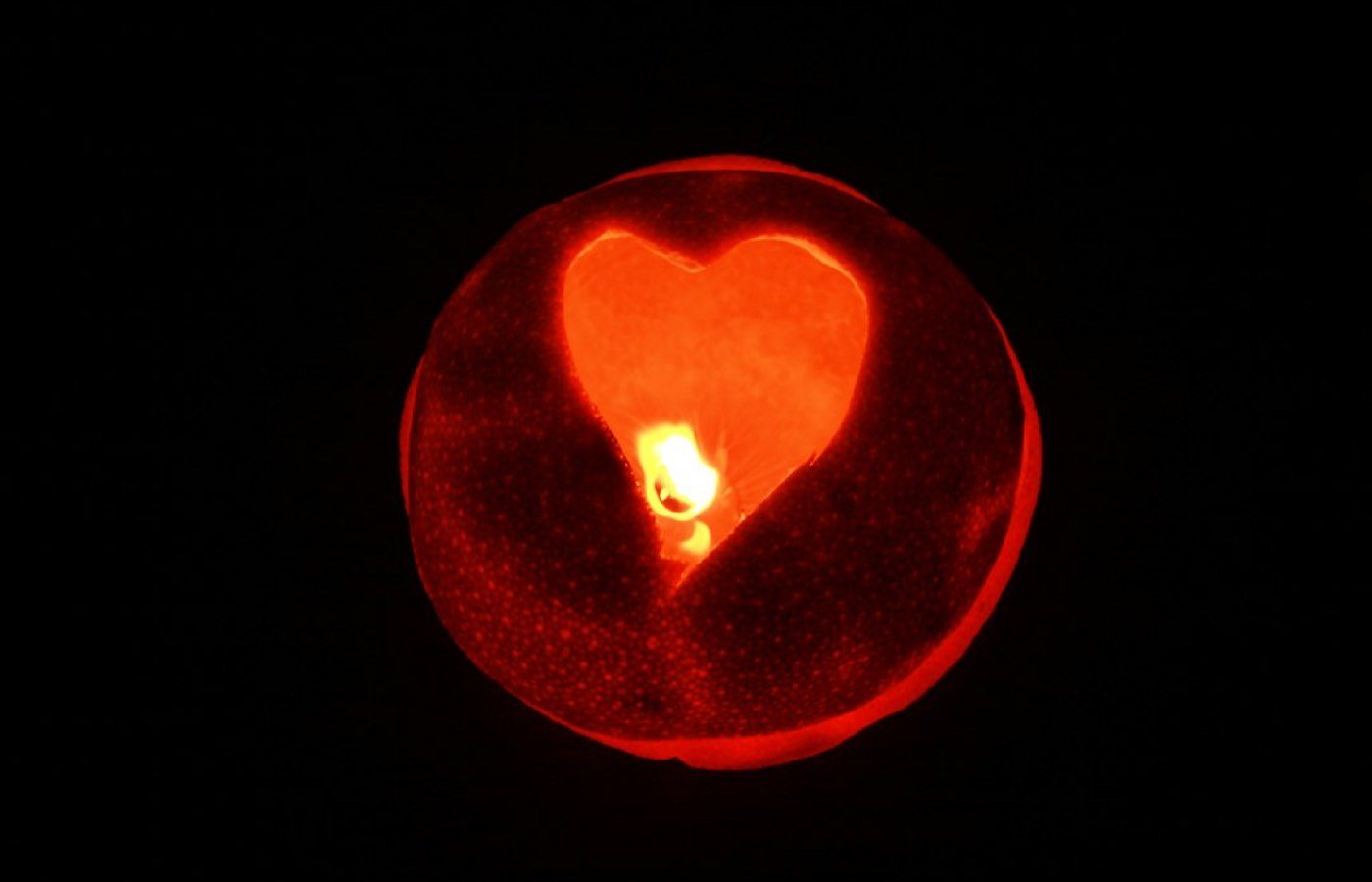 Voyance gratuite amour : formats, tarifs, alertes et droits