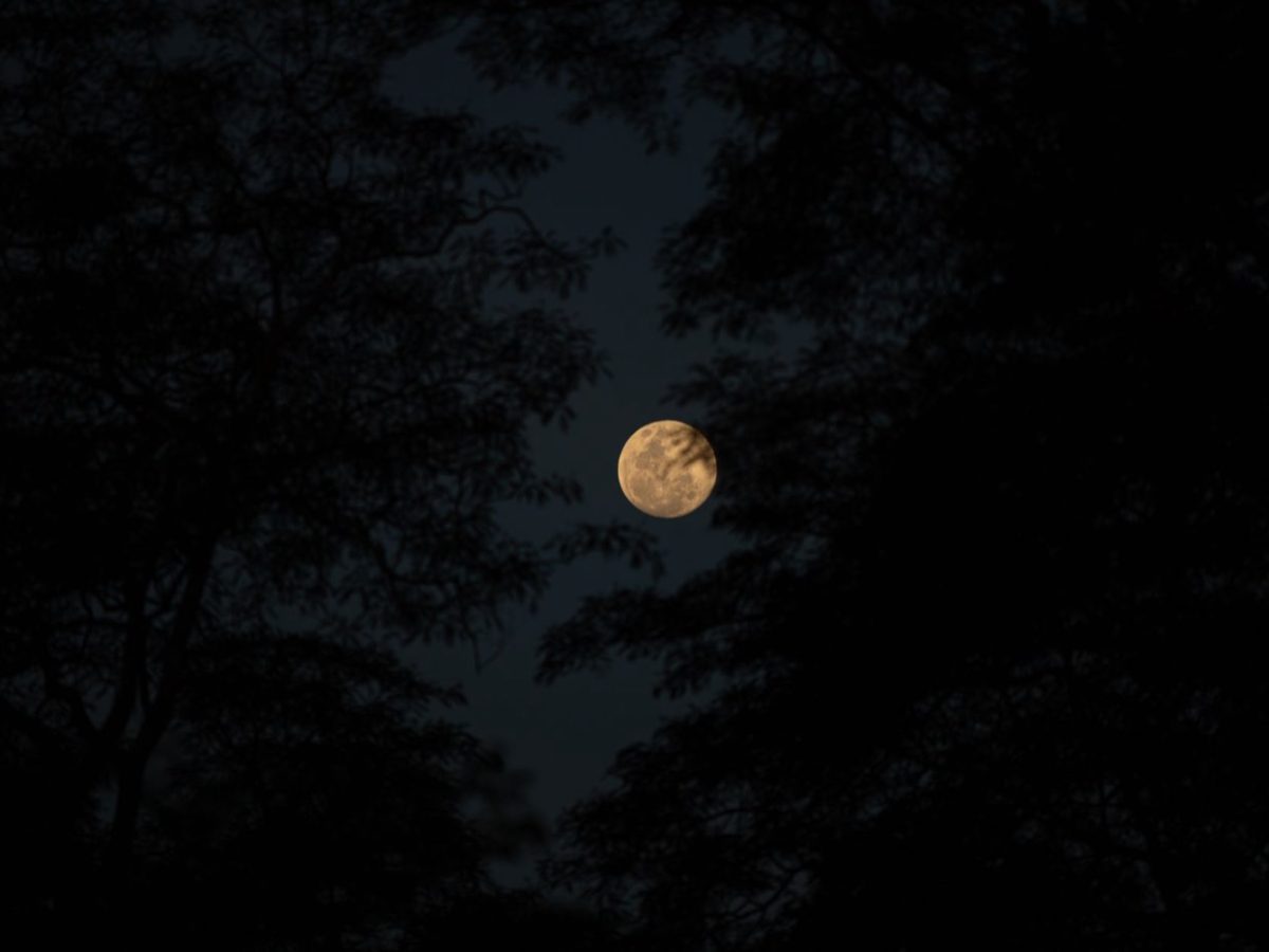 Pleine lune : signification et explication astronomique