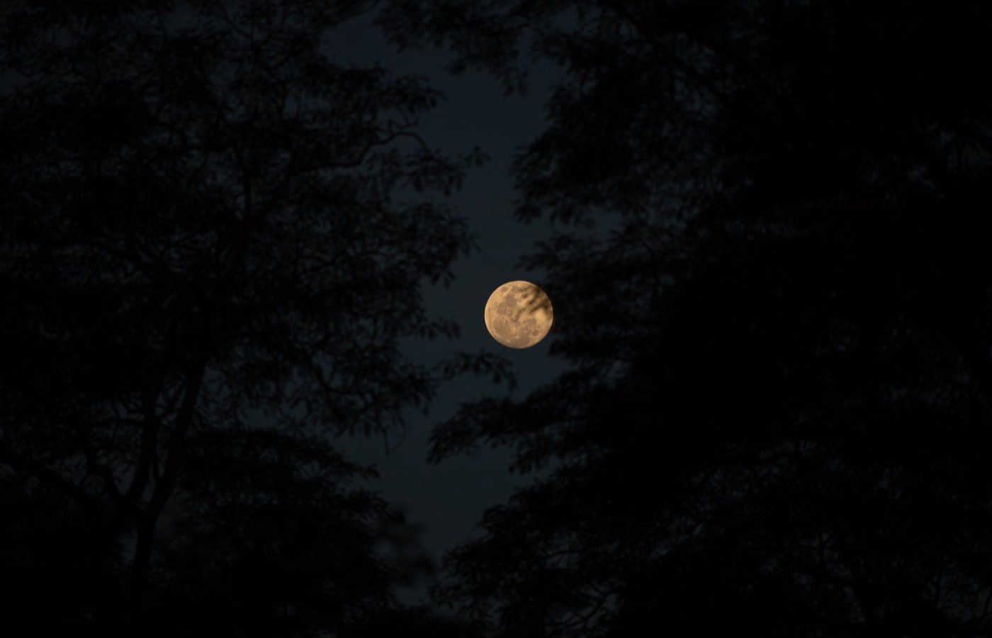 Pleine lune : signification et explication astronomique